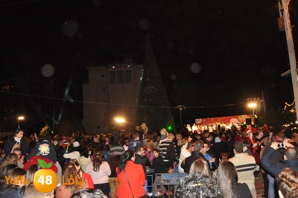 tree light 1208 (49).JPG